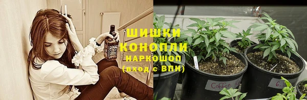 эйфоретик Пролетарск